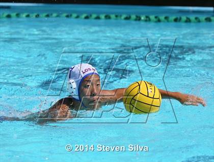 Thumbnail 3 in Los Alamitos @ Bishop's photogallery.