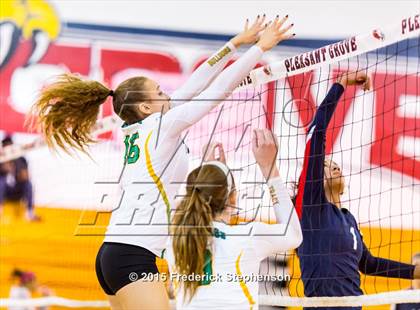 Thumbnail 3 in Tracy @ Pleasant Grove photogallery.