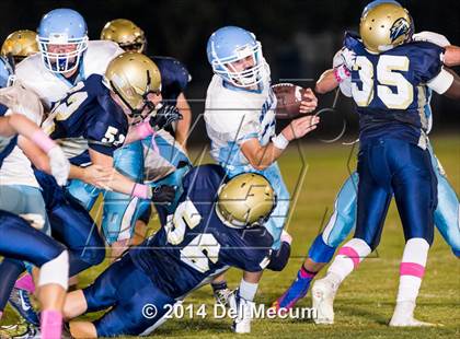 Thumbnail 3 in Newsome @ Durant photogallery.