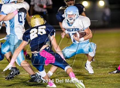 Thumbnail 3 in Newsome @ Durant photogallery.
