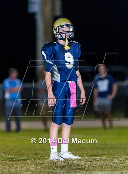 Thumbnail 2 in Newsome @ Durant photogallery.