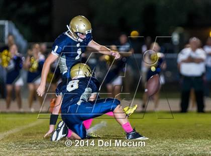 Thumbnail 1 in Newsome @ Durant photogallery.