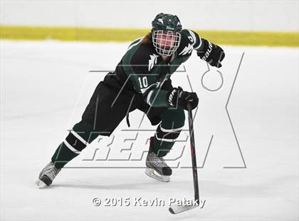 Thumbnail 1 in New Milford @ North Haven photogallery.