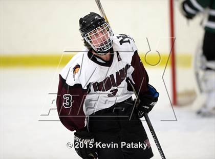 Thumbnail 2 in New Milford @ North Haven photogallery.