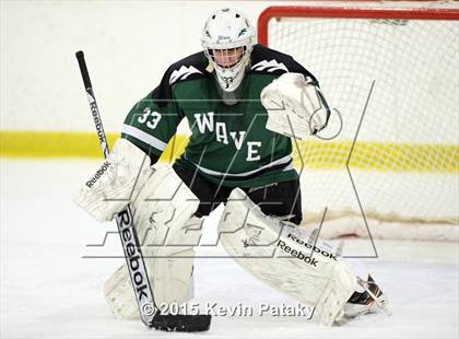 Thumbnail 2 in New Milford @ North Haven photogallery.