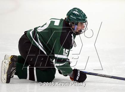Thumbnail 2 in New Milford @ North Haven photogallery.