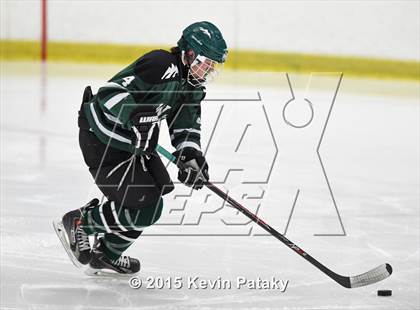 Thumbnail 3 in New Milford @ North Haven photogallery.