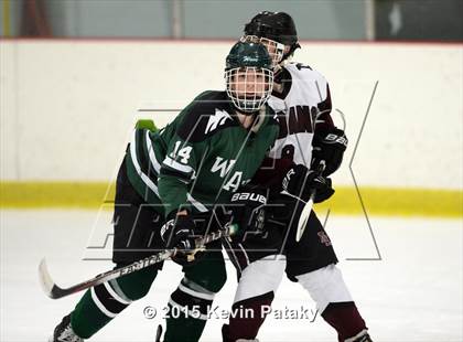 Thumbnail 3 in New Milford @ North Haven photogallery.