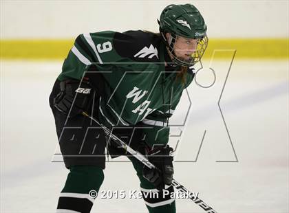 Thumbnail 2 in New Milford @ North Haven photogallery.