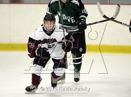 Thumbnail 3 in New Milford @ North Haven photogallery.