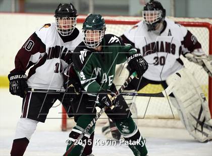 Thumbnail 3 in New Milford @ North Haven photogallery.