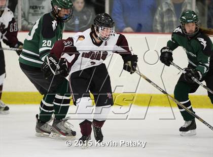 Thumbnail 2 in New Milford @ North Haven photogallery.