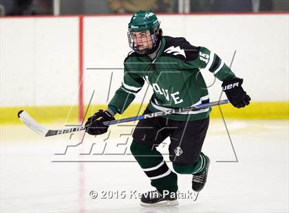 Thumbnail 3 in New Milford @ North Haven photogallery.