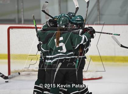 Thumbnail 3 in New Milford @ North Haven photogallery.