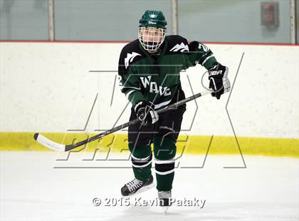 Thumbnail 1 in New Milford @ North Haven photogallery.