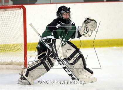 Thumbnail 3 in New Milford @ North Haven photogallery.