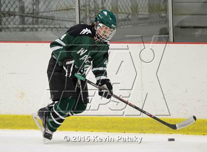 Thumbnail 3 in New Milford @ North Haven photogallery.