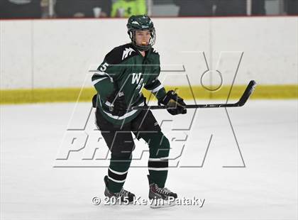 Thumbnail 2 in New Milford @ North Haven photogallery.