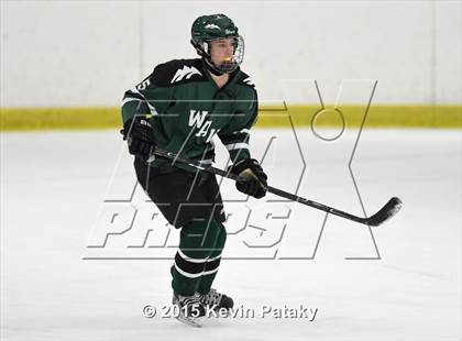 Thumbnail 3 in New Milford @ North Haven photogallery.