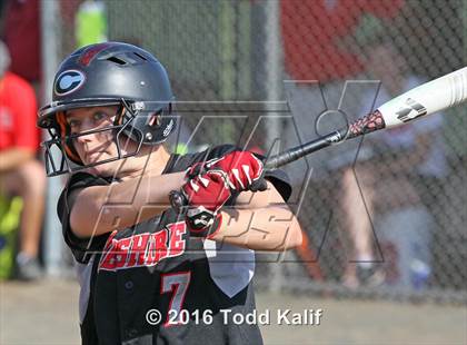 Thumbnail 1 in Norwich Free Academy vs. Cheshire (CIAC Class LL Semifinal) photogallery.