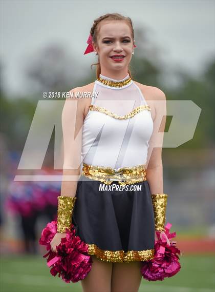 Thumbnail 1 in Oak Ridge @ Klein Oak photogallery.