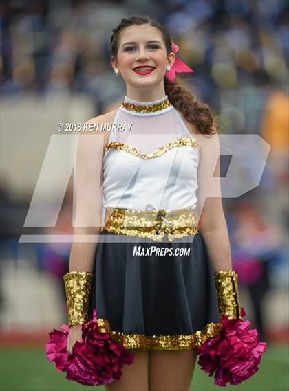 Thumbnail 3 in Oak Ridge @ Klein Oak photogallery.