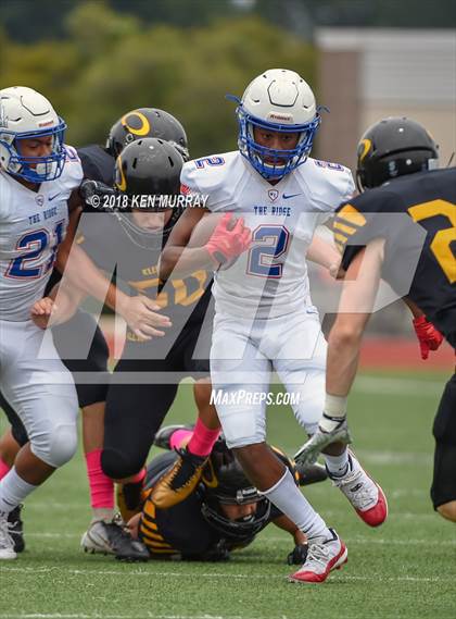 Thumbnail 3 in Oak Ridge @ Klein Oak photogallery.