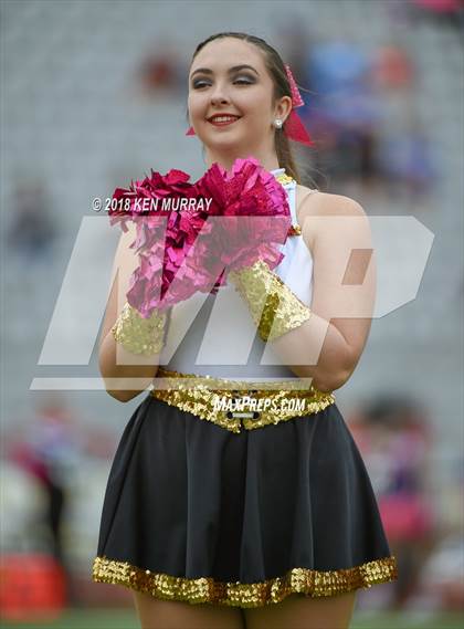 Thumbnail 1 in Oak Ridge @ Klein Oak photogallery.