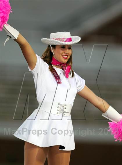 Thumbnail 3 in Ennis @ Mansfield Summit photogallery.