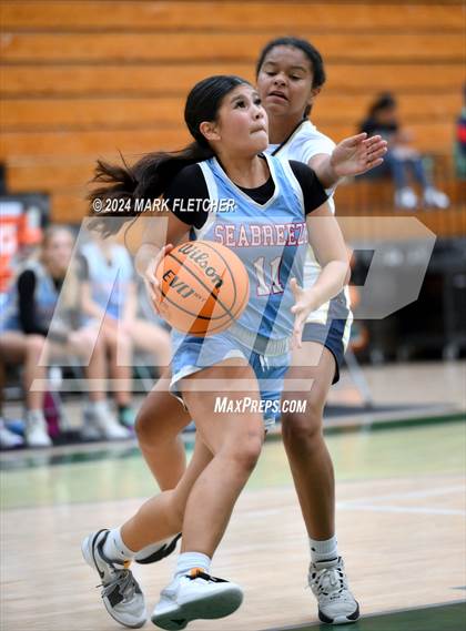 Thumbnail 3 in Seabreeze vs Calvary Christian Academy (Flagler-Palm Coast Bulldog Tipoff) photogallery.