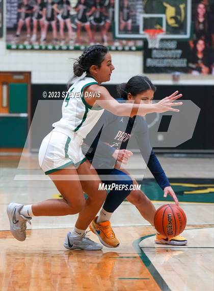 Thumbnail 2 in Perry @ Basha photogallery.