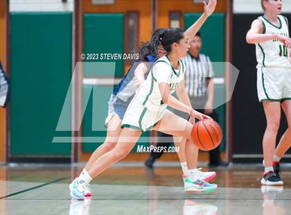 Thumbnail 1 in Perry @ Basha photogallery.