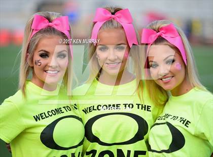 Thumbnail 2 in Klein @ Klein Oak photogallery.