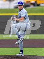 Photo from the gallery "Piper @ Paola"