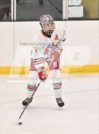 Photo from the gallery "Lewis-Palmer @ Heritage"