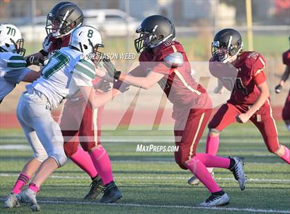 Thumbnail 1 in Miramonte @ Northgate photogallery.