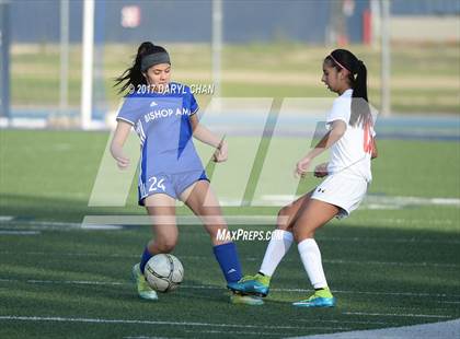 Thumbnail 1 in JV: Bishop Amat vs La Salle photogallery.