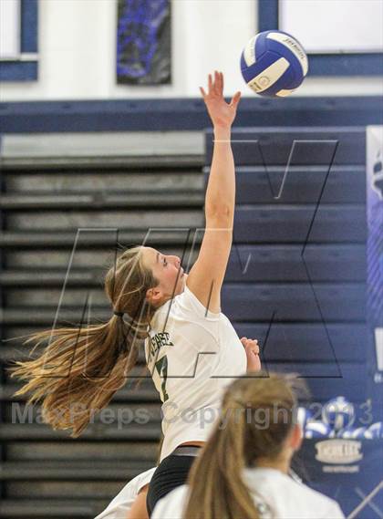 Thumbnail 1 in Nease @ Bartram Trail photogallery.