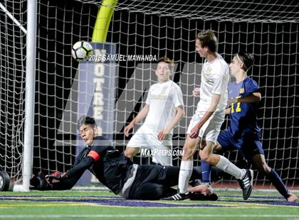 Thumbnail 2 in Notre Dame (SO) vs  St. Francis photogallery.