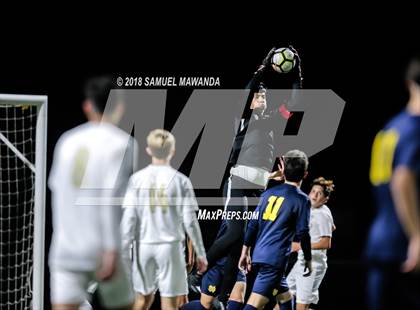 Thumbnail 1 in Notre Dame (SO) vs  St. Francis photogallery.