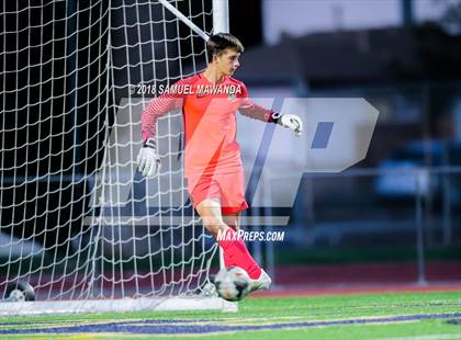 Thumbnail 1 in Notre Dame (SO) vs  St. Francis photogallery.