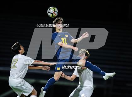 Thumbnail 3 in Notre Dame (SO) vs  St. Francis photogallery.