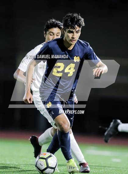 Thumbnail 2 in Notre Dame (SO) vs  St. Francis photogallery.