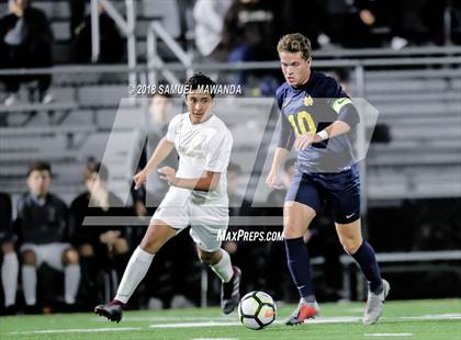 Thumbnail 2 in Notre Dame (SO) vs  St. Francis photogallery.