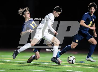 Thumbnail 3 in Notre Dame (SO) vs  St. Francis photogallery.