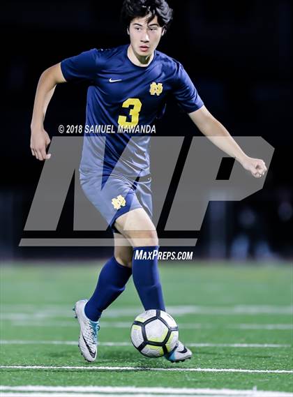 Thumbnail 3 in Notre Dame (SO) vs  St. Francis photogallery.