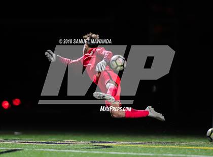 Thumbnail 2 in Notre Dame (SO) vs  St. Francis photogallery.