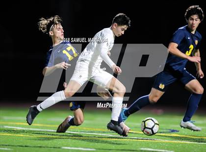 Thumbnail 2 in Notre Dame (SO) vs  St. Francis photogallery.