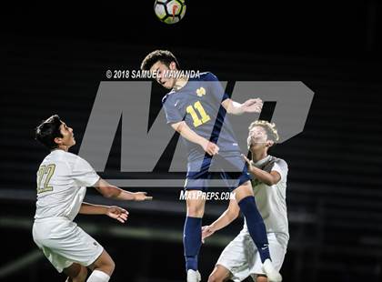 Thumbnail 2 in Notre Dame (SO) vs  St. Francis photogallery.
