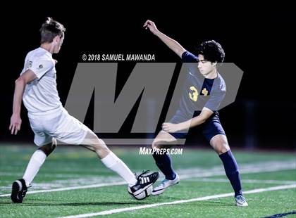 Thumbnail 2 in Notre Dame (SO) vs  St. Francis photogallery.